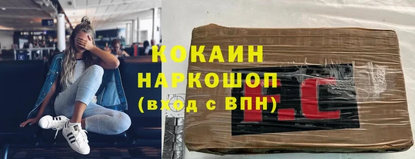 гидра Абаза