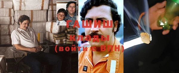 гидра Абаза