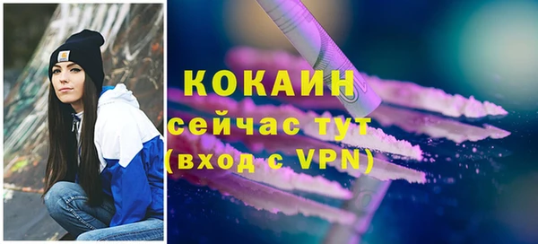 гидра Абаза