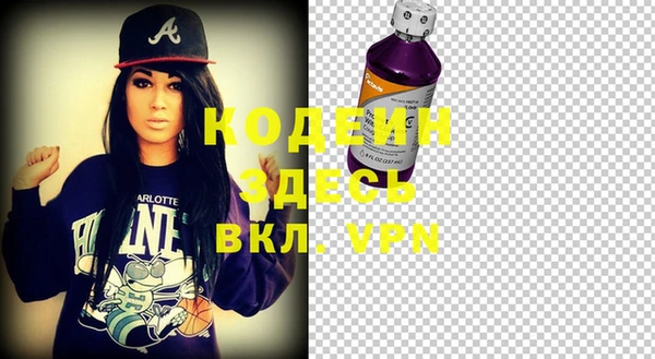 гидра Абаза
