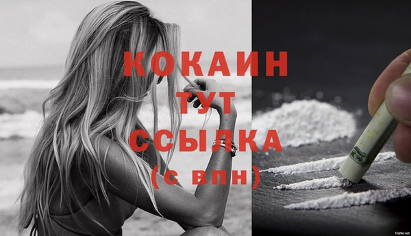 гидра Абаза