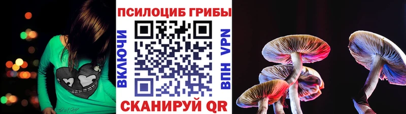 Галлюциногенные грибы ЛСД  как найти закладки  Горбатов 