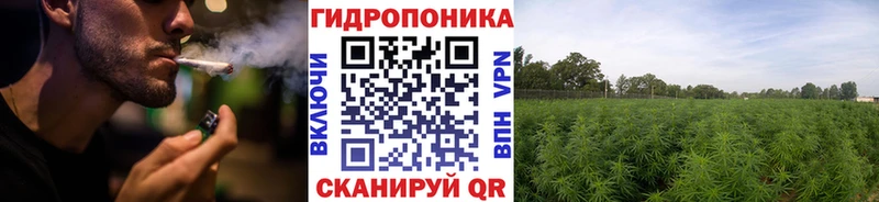Конопля конопля  сколько стоит  Горбатов 